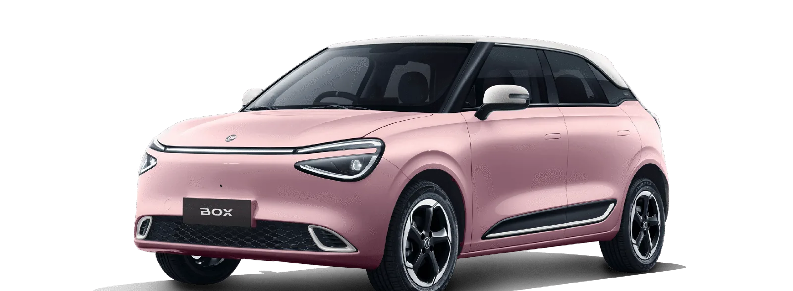 Dongfeng BOX in Dusky Blush